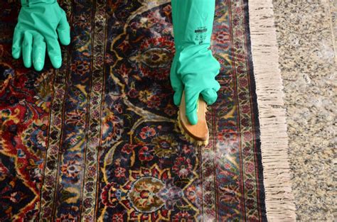Persian rug cleaning. Things To Know About Persian rug cleaning. 